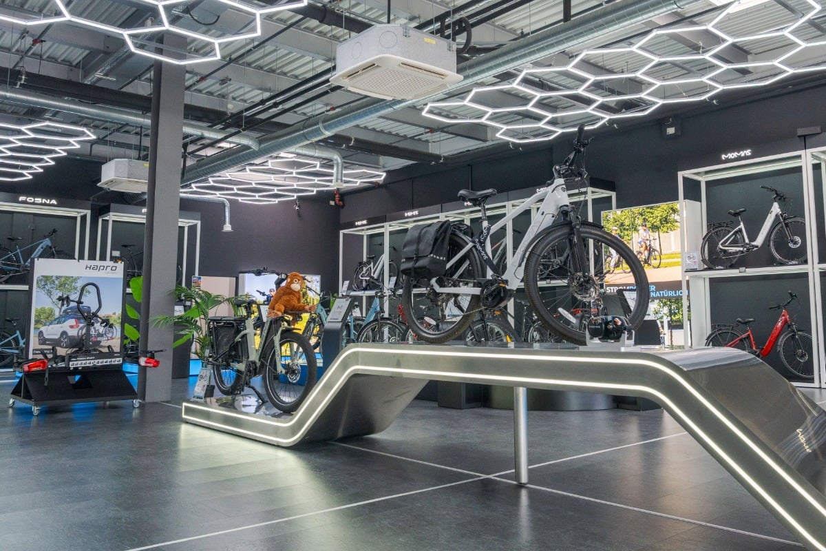 E-Wheels Workshop