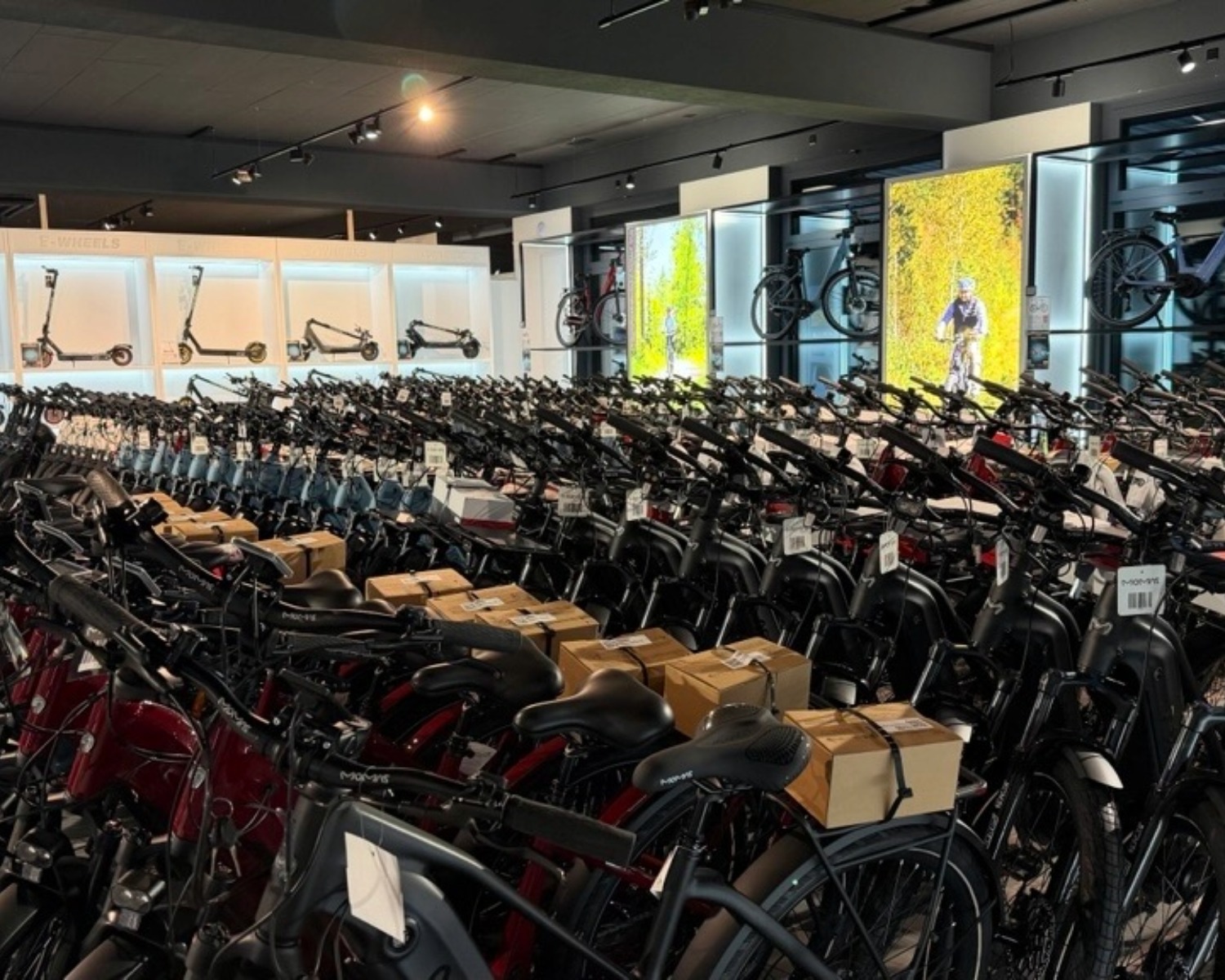 E-Wheels Spreitenbach &ndash; Butikk og showroom 2