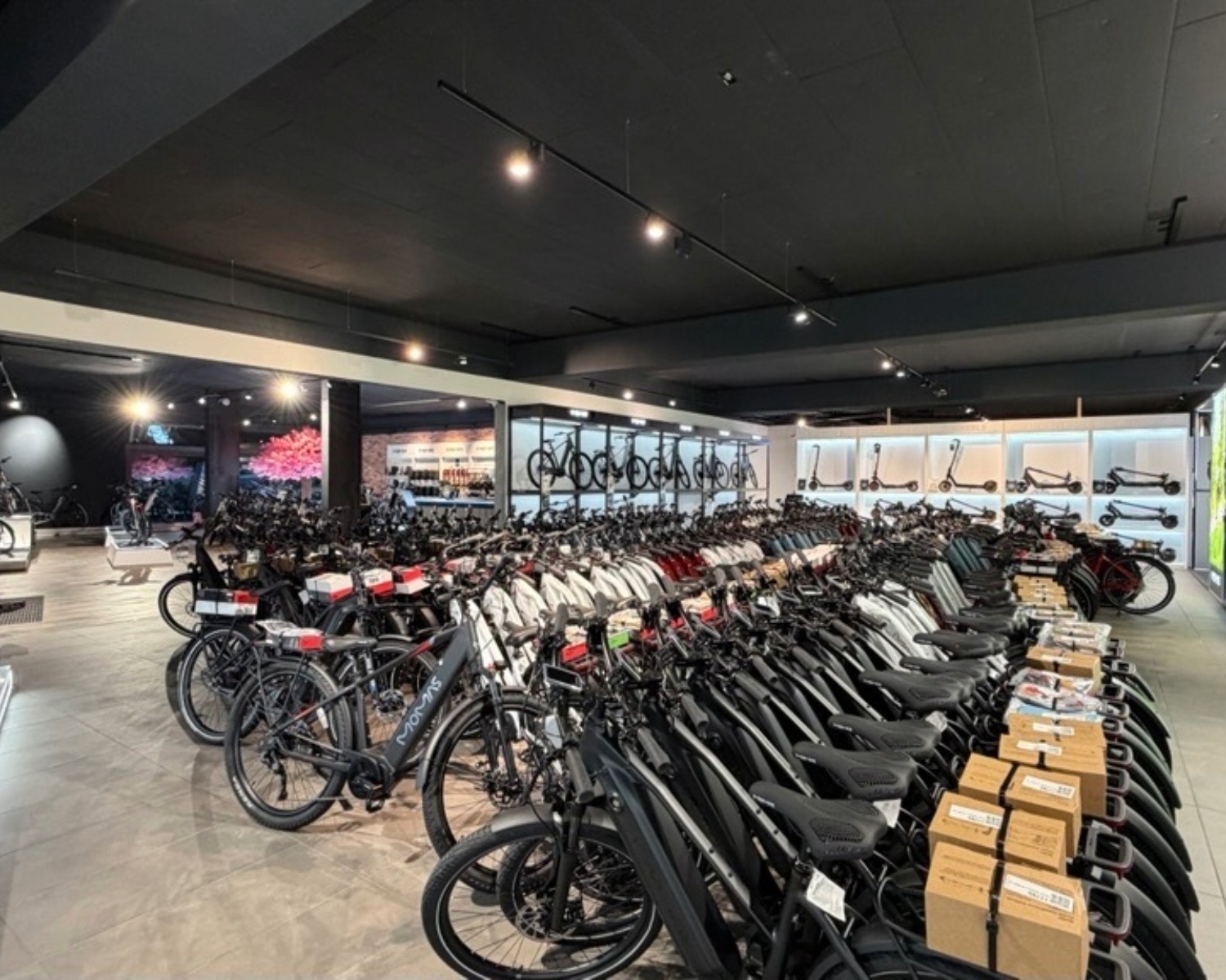 E-Wheels Spreitenbach &ndash; Butikk og showroom 3