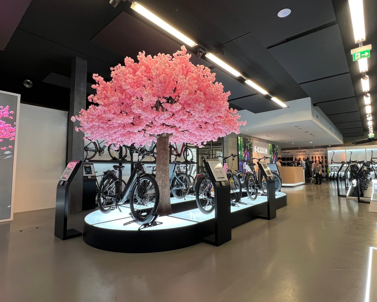 E-Wheels Z&uuml;rich &ndash; Store Wallisellen 2