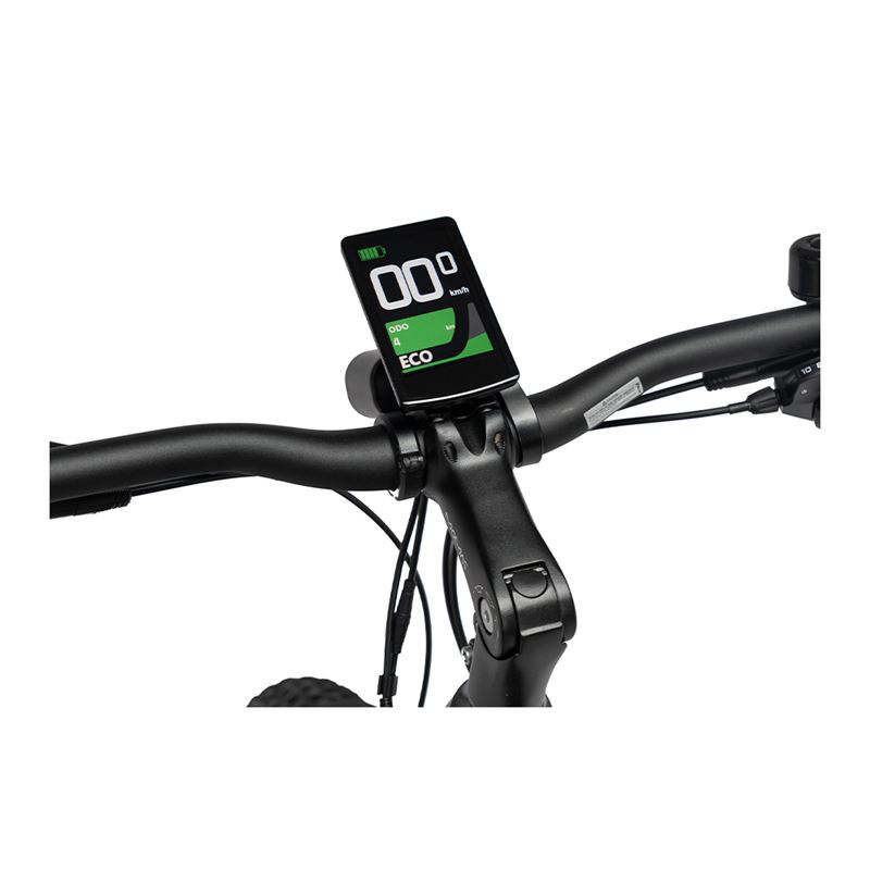 Momas Eagle+ 2025 - M