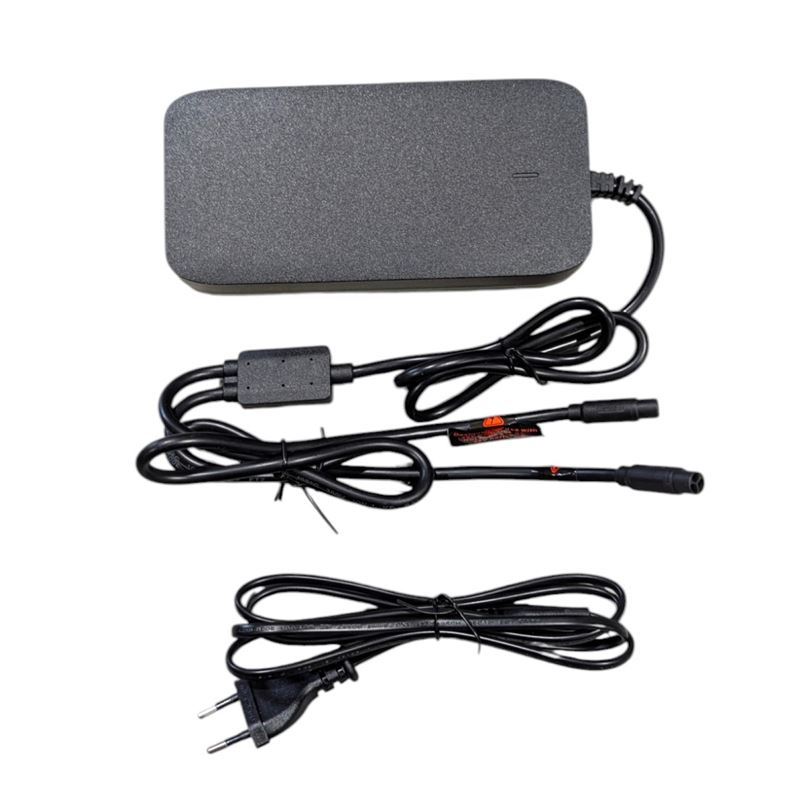 Charger with dual plug (54.6V 3A) - Fosna Arvaker