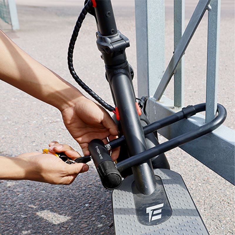 Serratura a grillo con allarme antifurto 230 mm Momas 